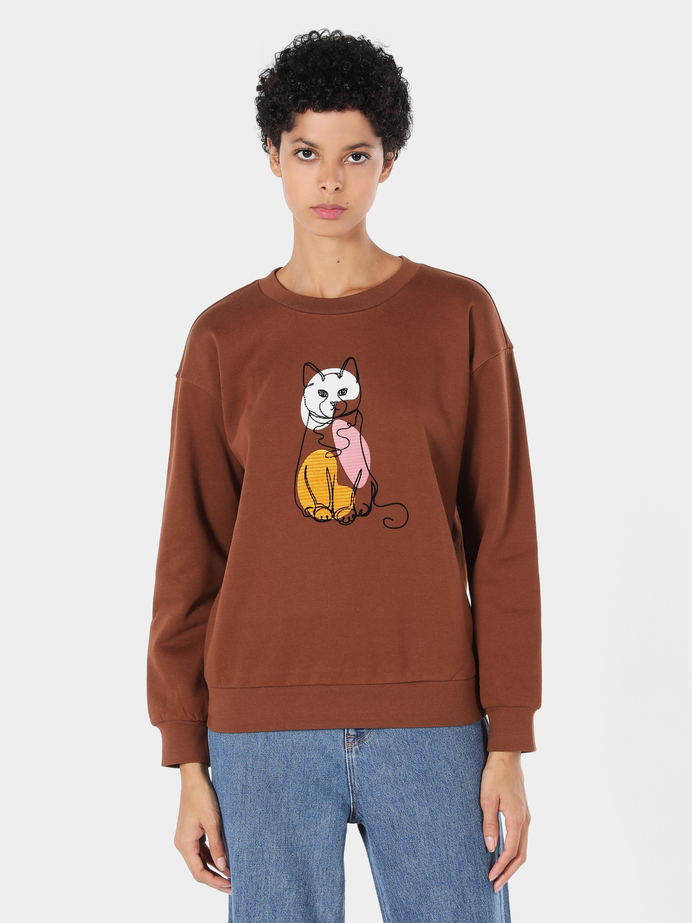 Свитшот Colin’s модель CL1061085BRW Фото