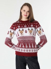 Светр Colin’s модель CL1061494BRD Фото