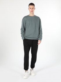 Свитшот Colin’s модель CL1059870GRN Фото