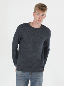 Лонгслив Colin’s модель CL1059906INV Фото