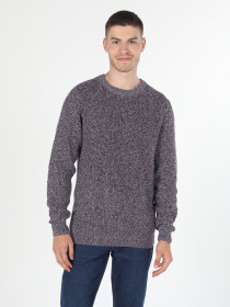 Джемпер Colin’s модель CL1060068PRP Фото