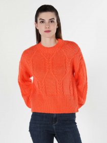 Свитер Colin’s модель CL1061089BOR Фото