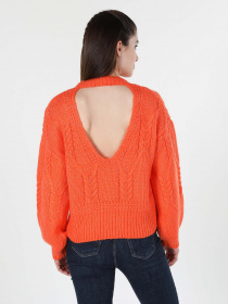 Светр Colin’s модель CL1061089BOR Фото