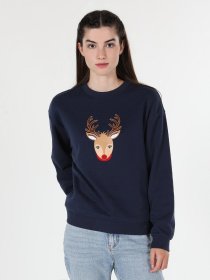 Свитшот Colin’s модель CL1061488NAV Фото