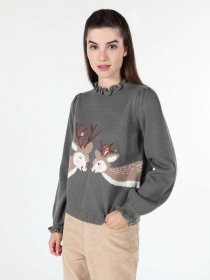 Джемпер Colin’s модель CL1061495ANT Фото