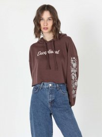 Худи Colin’s модель CL1060207BRW Фото