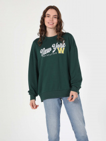 Свитшот Colin’s модель CL1060588PGR Фото