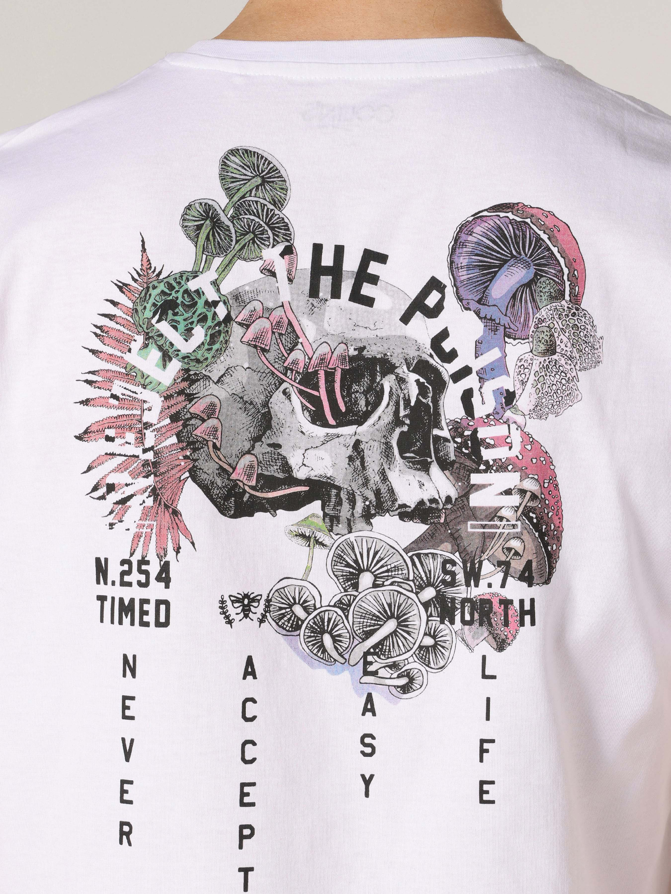 Футболка Colin’s модель CL1061567WHT Футболка Colin’s модель CL1061567WHT Фото