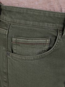 Шорты Colin’s модель CL1062644FGR Фото