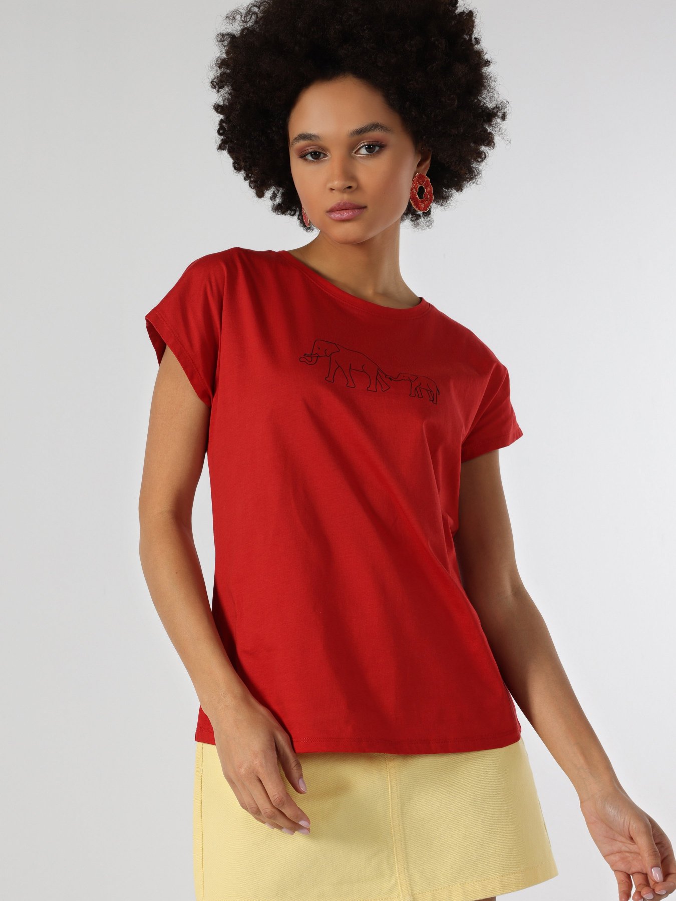 Футболка Colin’s модель CL1063440BRC Фото