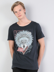 Футболки и поло Colin’s модель CL1044138ANT Фото