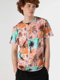 Футболка Colin’s модель CL1064129MTC Фото