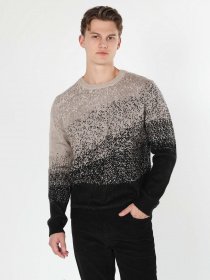 Джемпер Colin’s модель CL1060892DBR Фото