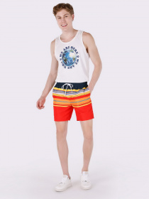 Шорты для плавания Colin’s модель CL1063399MTC Фото