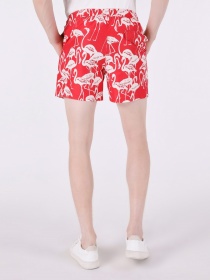 Шорты для плавания Colin’s модель CL1063400CRL Фото