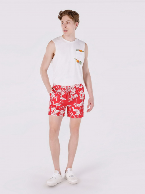 Шорти для плавання Colin’s модель CL1063400CRL Фото