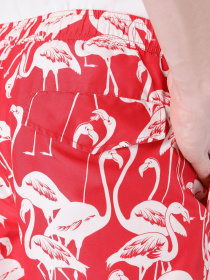 Шорти для плавання Colin’s модель CL1063400CRL Шорти для плавання Colin’s модель CL1063400CRL Фото