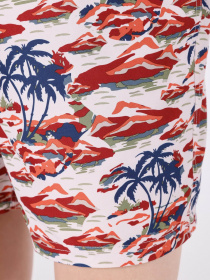 Шорты для плавания Colin’s модель CL1063479MTC Фото