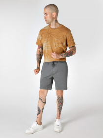 Шорты Colin’s модель CL1064127ANT Фото