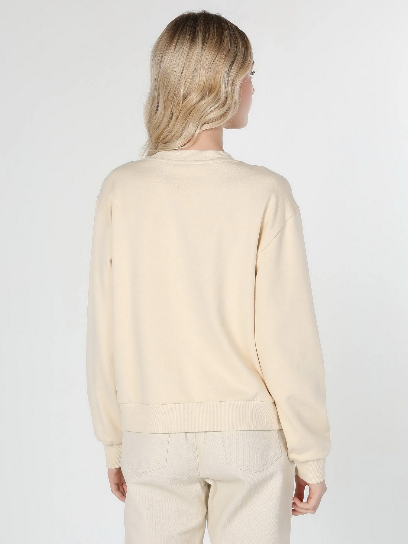 Свитшот Colin’s модель CL1060217ECR Фото