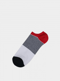 Шкарпетки Colin’s модель CL1062142MTC Фото