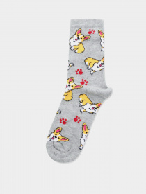 Носки Colin’s модель CL1065986MGA Фото