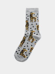 Шкарпетки Colin’s модель CL1065990MGA Шкарпетки Colin’s модель CL1065990MGA Фото