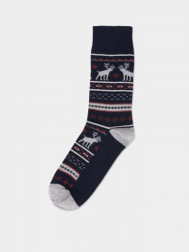 Носки Colin’s модель CL1066060NAV Фото