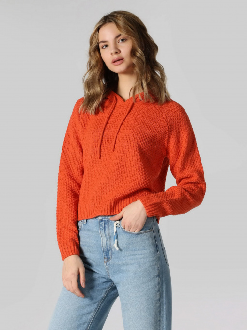 Джемпер Colin’s модель CL1062436BOR Фото