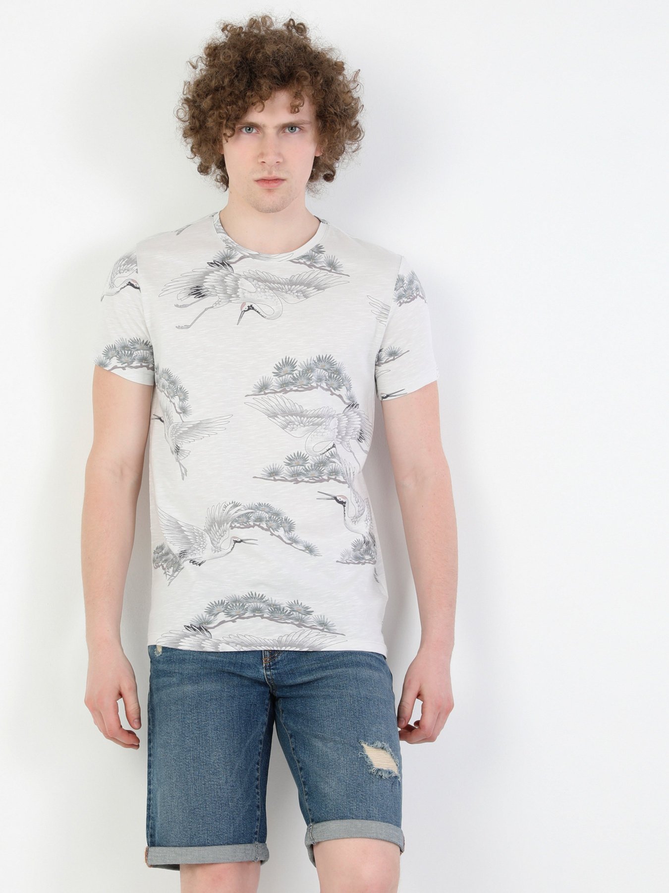 Футболки и поло Colin’s модель CL1047737STN Футболки и поло Colin’s модель CL1047737STN Фото