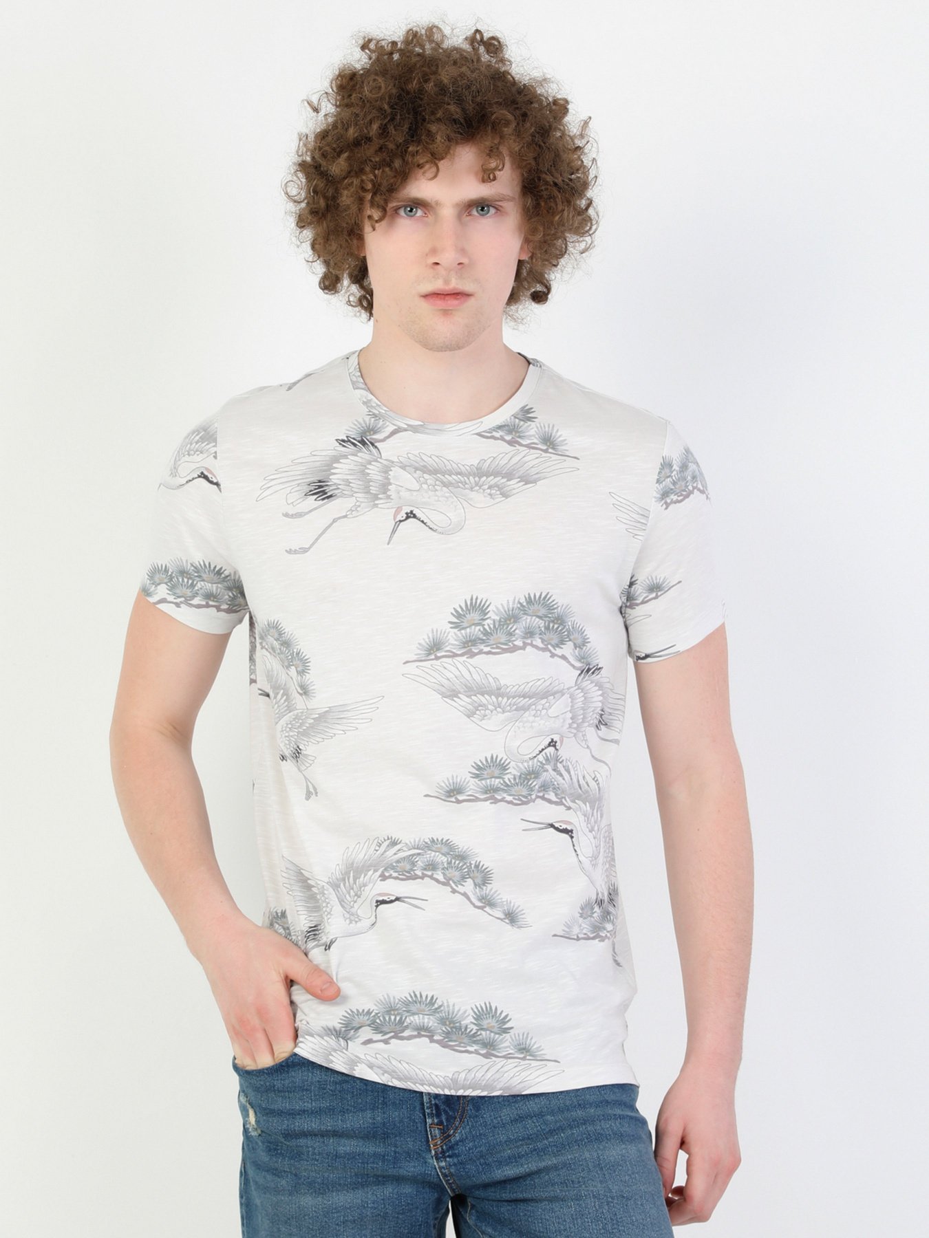 Футболки и поло Colin’s модель CL1047737STN Футболки и поло Colin’s модель CL1047737STN Фото