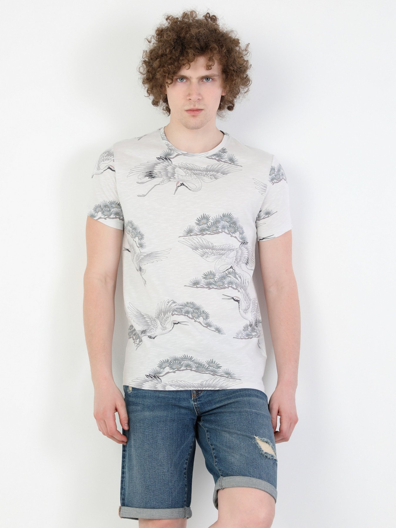 Футболки і поло Colin’s модель CL1047737STN Фото