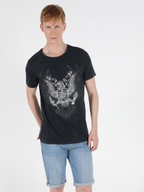 Футболки и поло Colin’s модель CL1049460ANT Фото