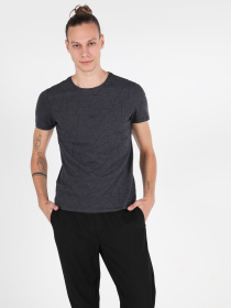 Футболки и поло Colin’s модель CL1049908ANT Фото