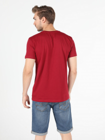 Футболки и поло Colin’s модель CL1050177DPR Фото