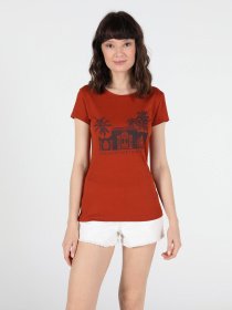 Футболки и поло Colin’s модель CL1050368BRC Фото