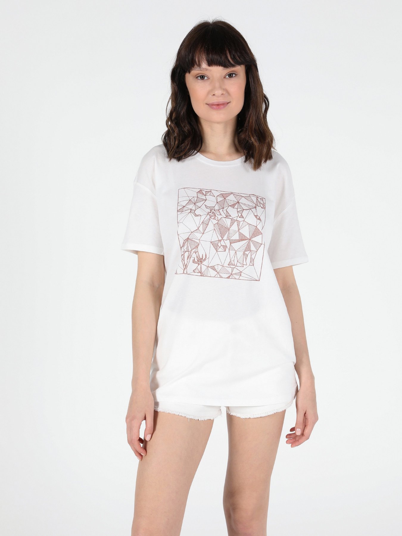 Футболки и поло Colin’s модель CL1050467WHT Фото