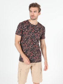 Футболки и поло Colin’s модель CL1052032ANT Фото