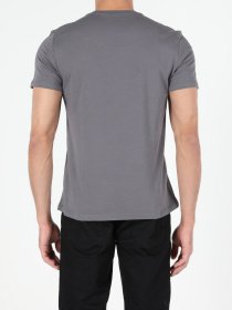 Футболки и поло Colin’s модель CL1053931ANT Фото