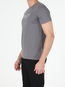 Футболки и поло Colin’s модель CL1053931ANT Фото