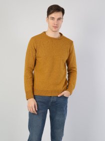 Светр Colin’s модель CL1035123YLS Фото