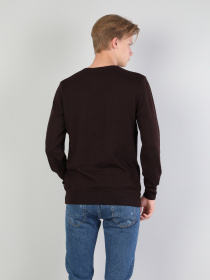 Свитер Colin’s модель CL1023186MBR Фото