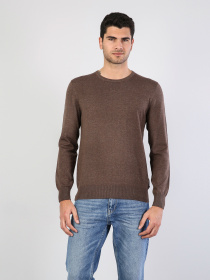 Реглан Colin’s модель CL1023186BRM Фото