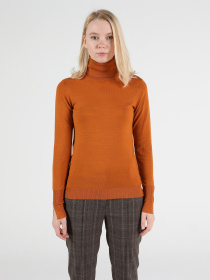 Водолазка Colin’s модель CL1051087COR Водолазка Colin’s модель CL1051087COR Фото