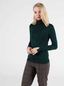 Водолазка Colin’s модель CL1051087PGR Водолазка Colin’s модель CL1051087PGR Фото