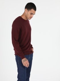 Джемпер Colin’s модель CL1051445PUM Фото