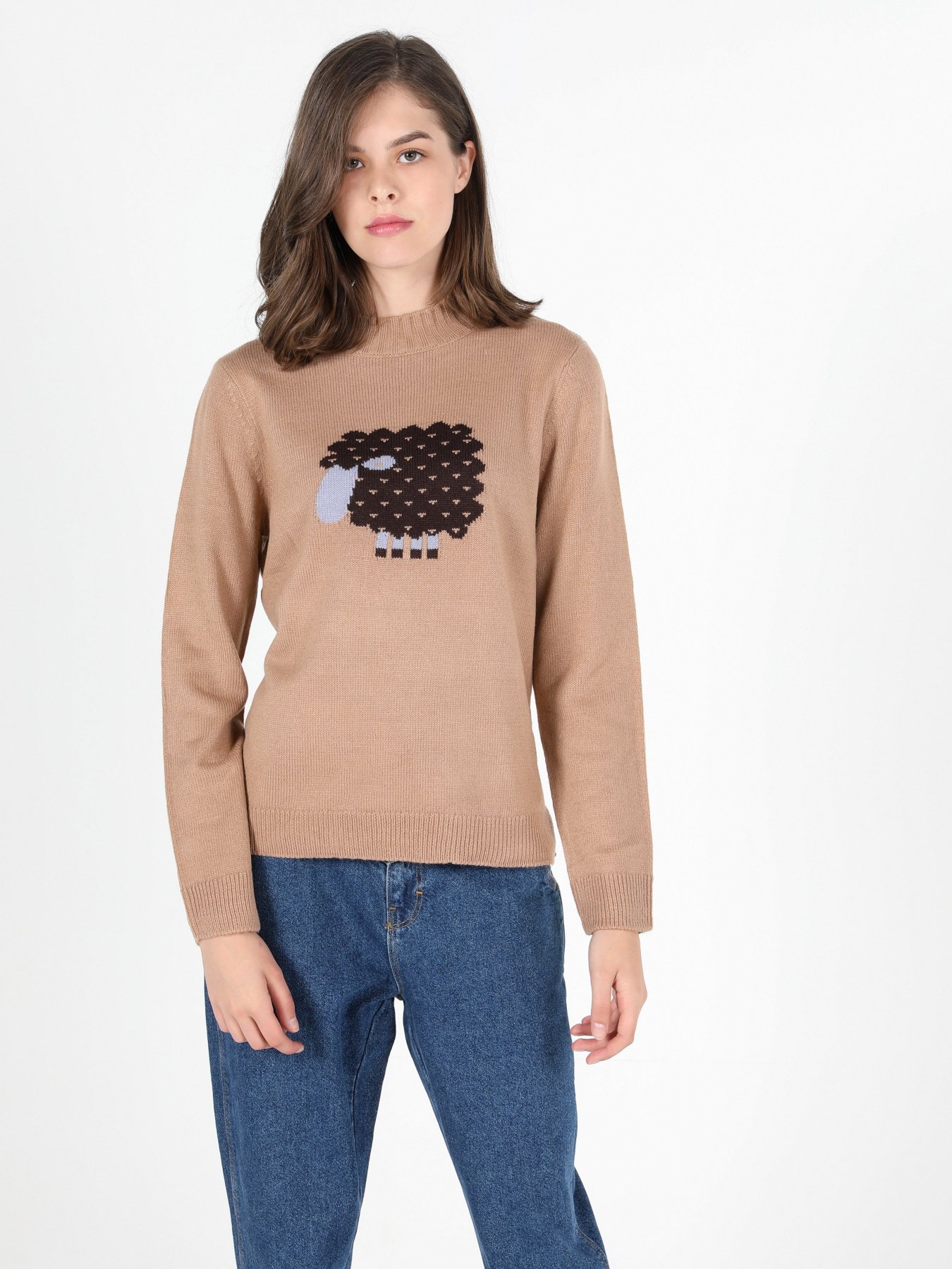 Джемпер Colin’s модель CL1051510LBR Фото