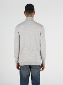 Водолазка Colin’s модель CL1023624STM Фото