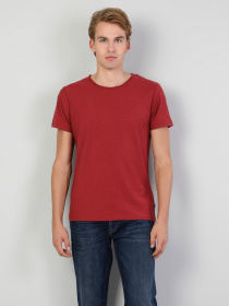 Футболки и поло Colin’s модель CL1025255TER Фото