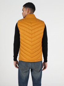 Жилет Colin’s модель CL1045390YLS Фото